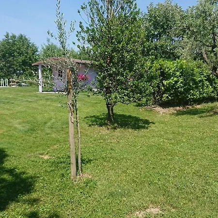 Il Carpino Bianco
